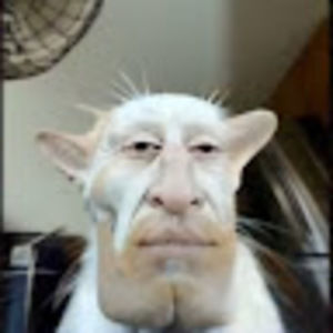 Meet your Posher, Trollas